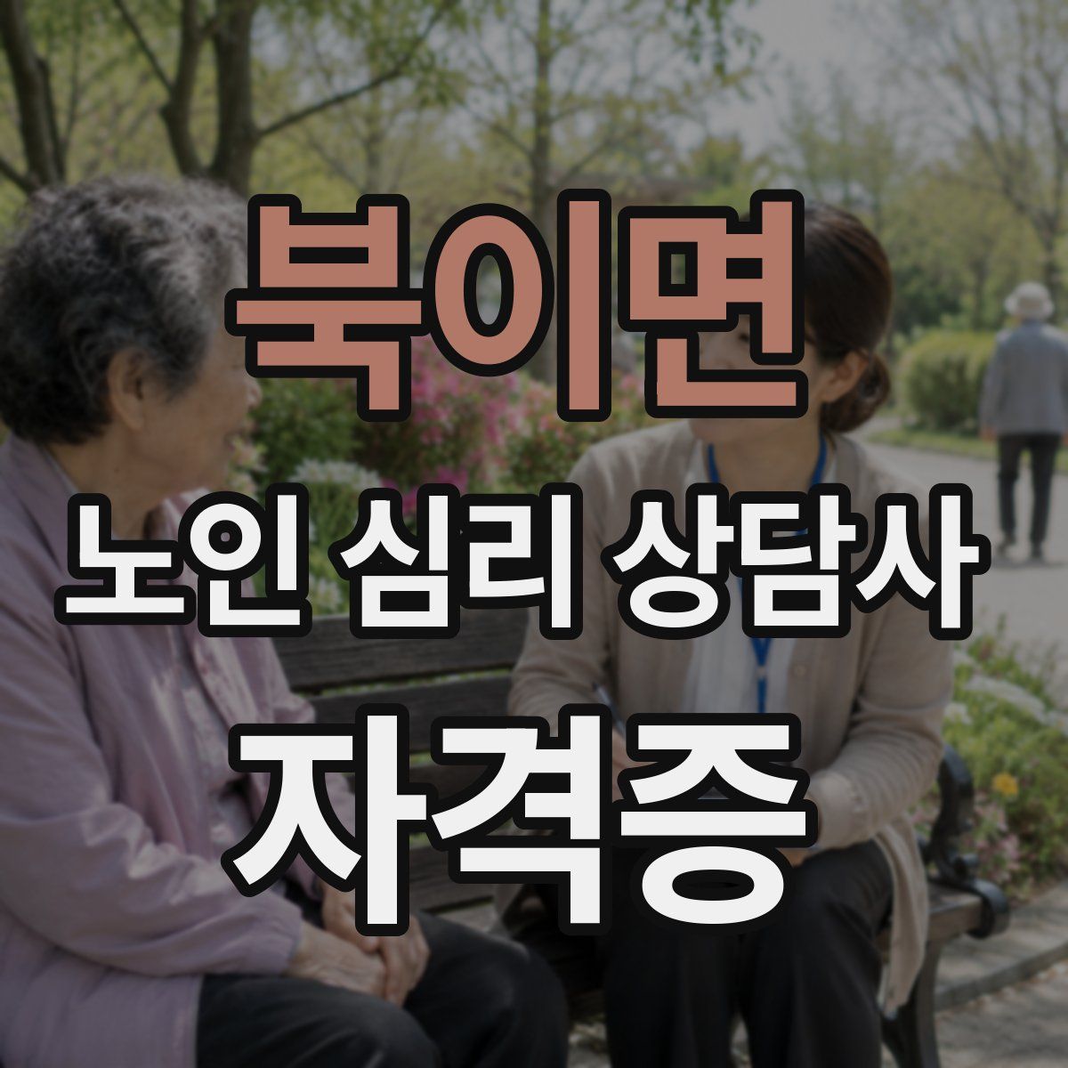 북이면 노인 심리 상담사 자격증