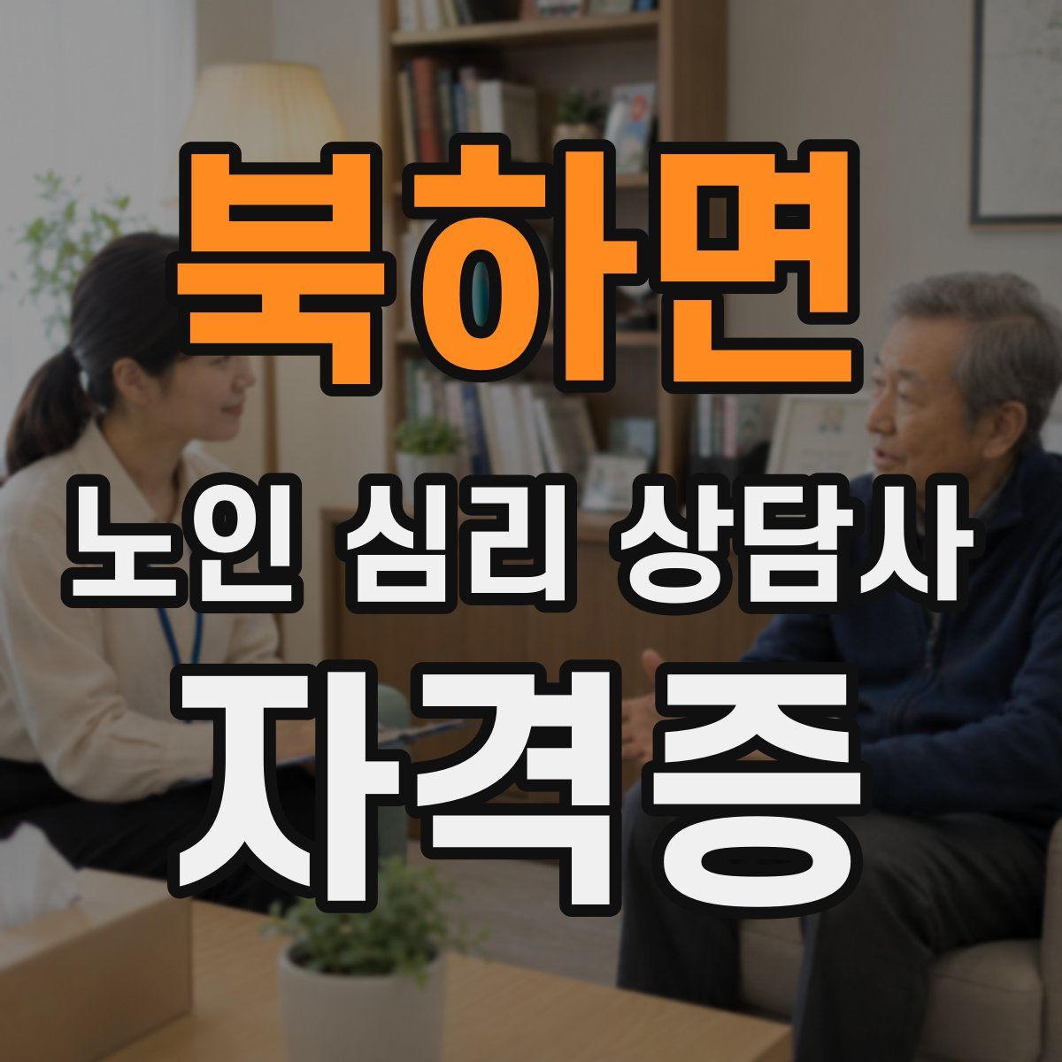 북하면 노인 심리 상담사 자격증