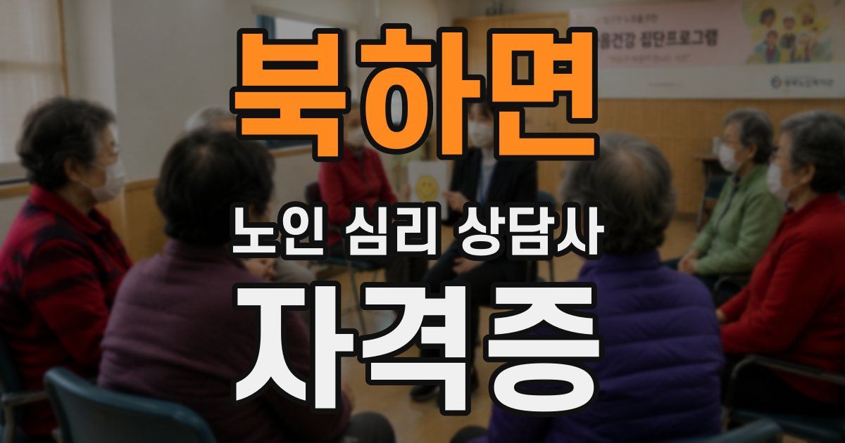 북하면 노인 심리 상담사 자격증