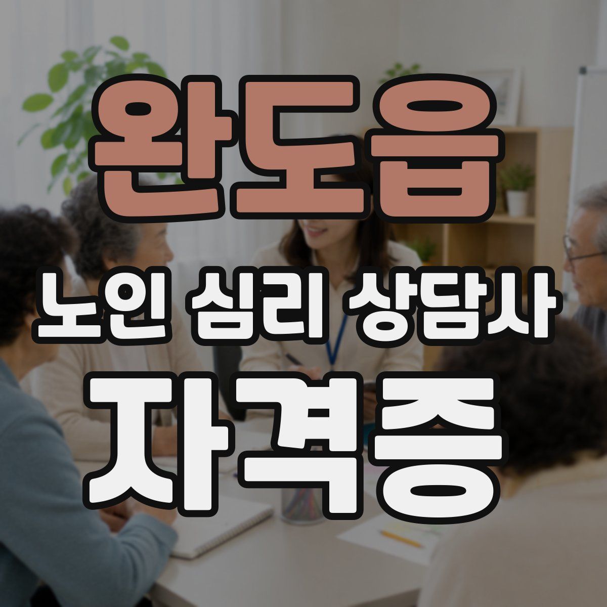 완도읍 노인 심리 상담사 자격증