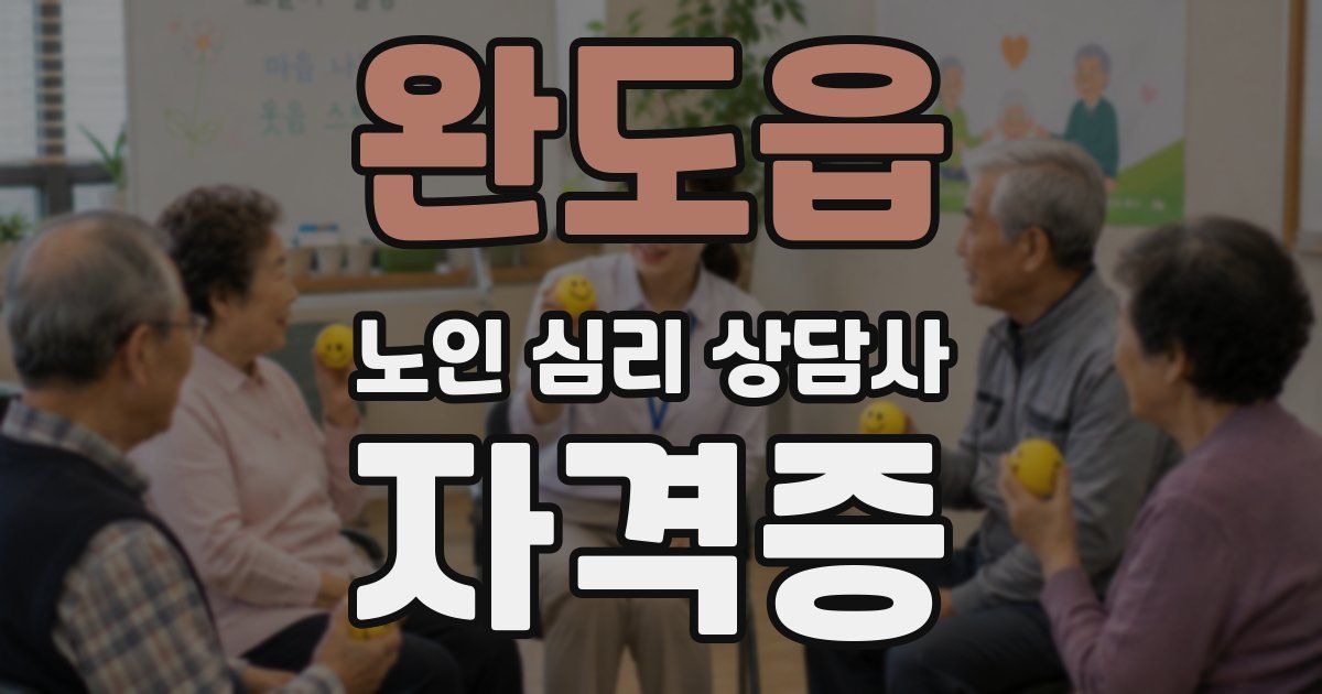 완도읍 노인 심리 상담사 자격증