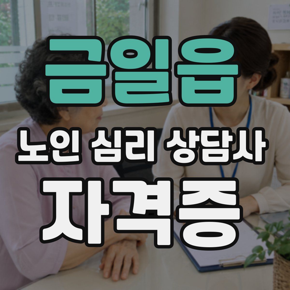 금일읍 노인 심리 상담사 자격증