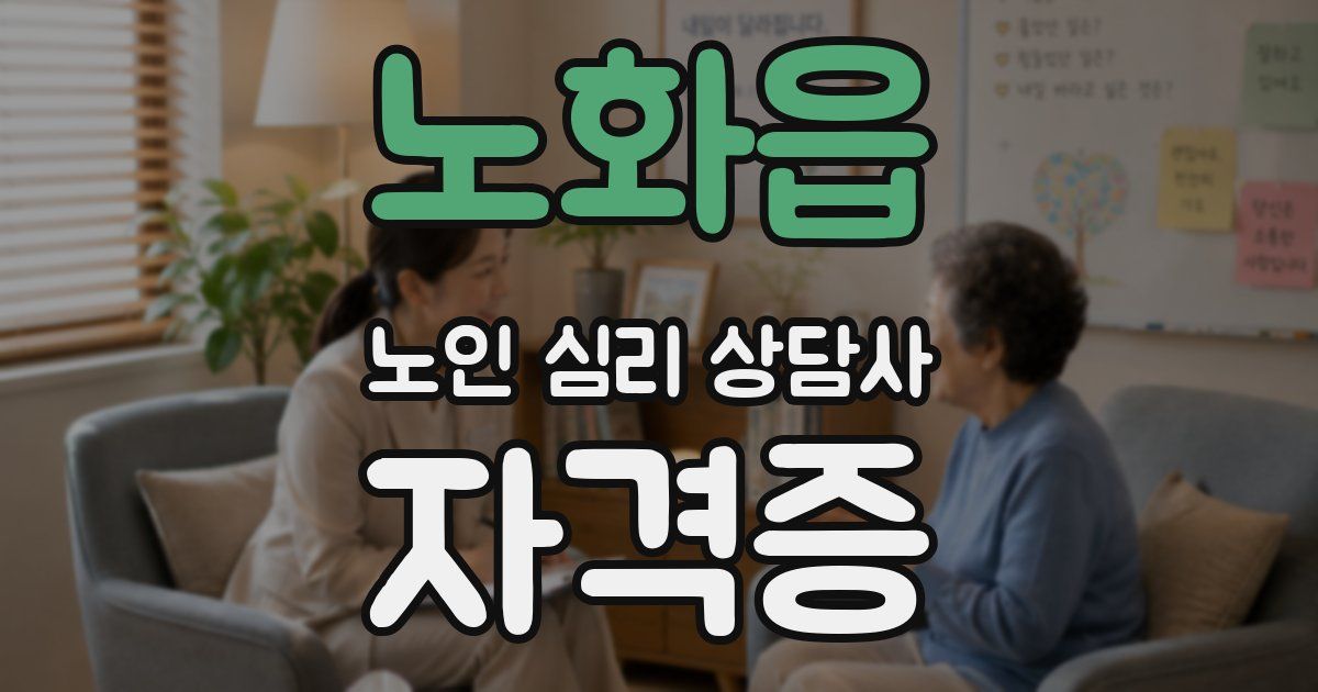 노화읍 노인 심리 상담사 자격증
