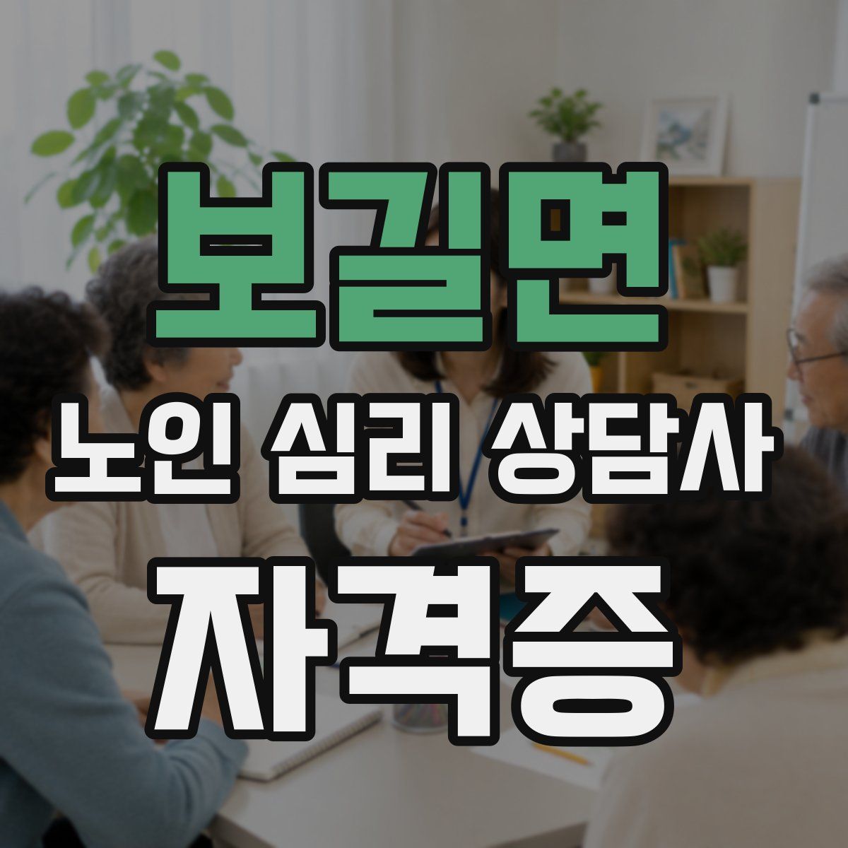 보길면 노인 심리 상담사 자격증