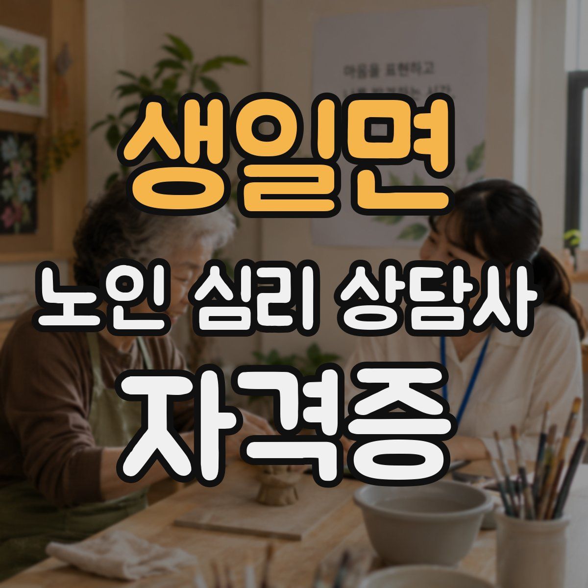 생일면 노인 심리 상담사 자격증