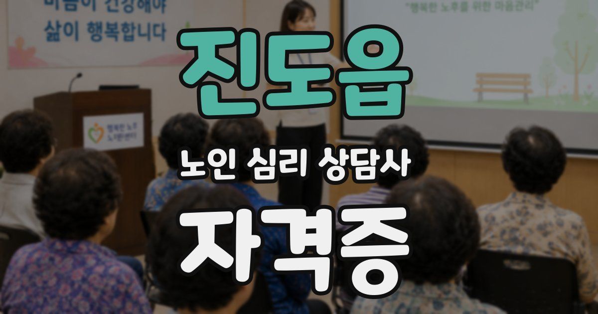 진도읍 노인 심리 상담사 자격증