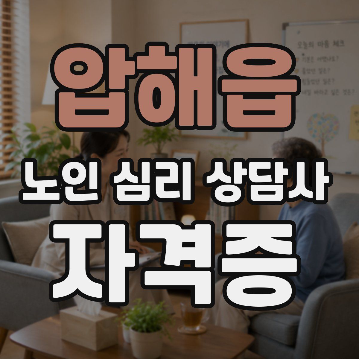 압해읍 노인 심리 상담사 자격증