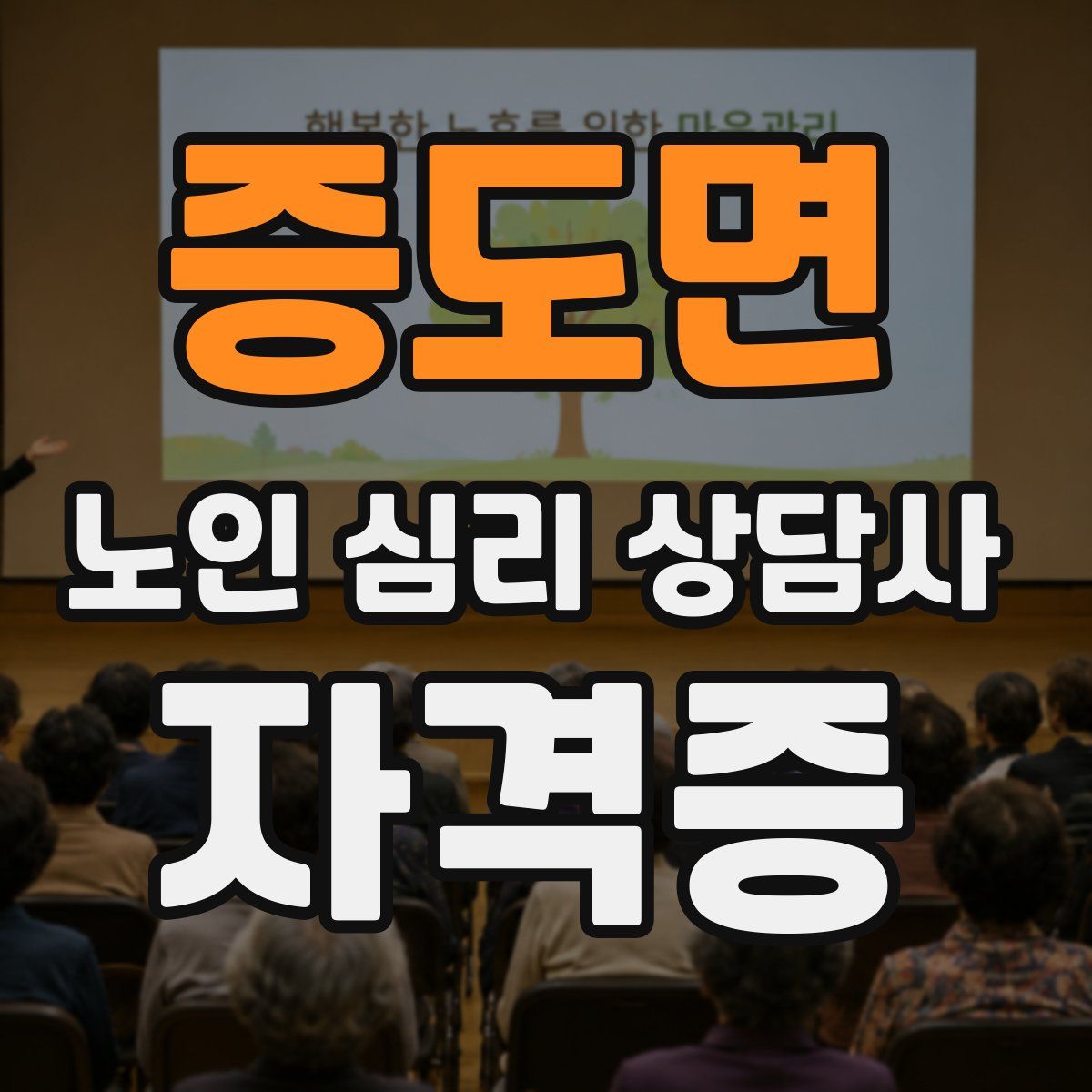 증도면 노인 심리 상담사 자격증