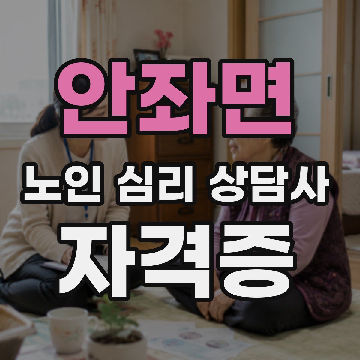 안좌면 노인 심리 상담사 자격증