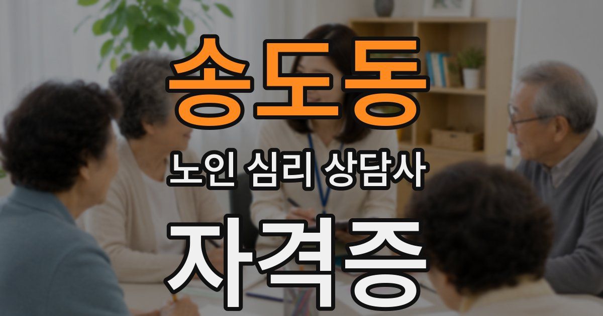송도동 노인 심리 상담사 자격증
