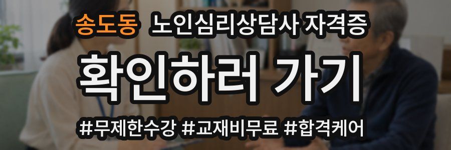 송도동 노인 심리 상담사 자격증