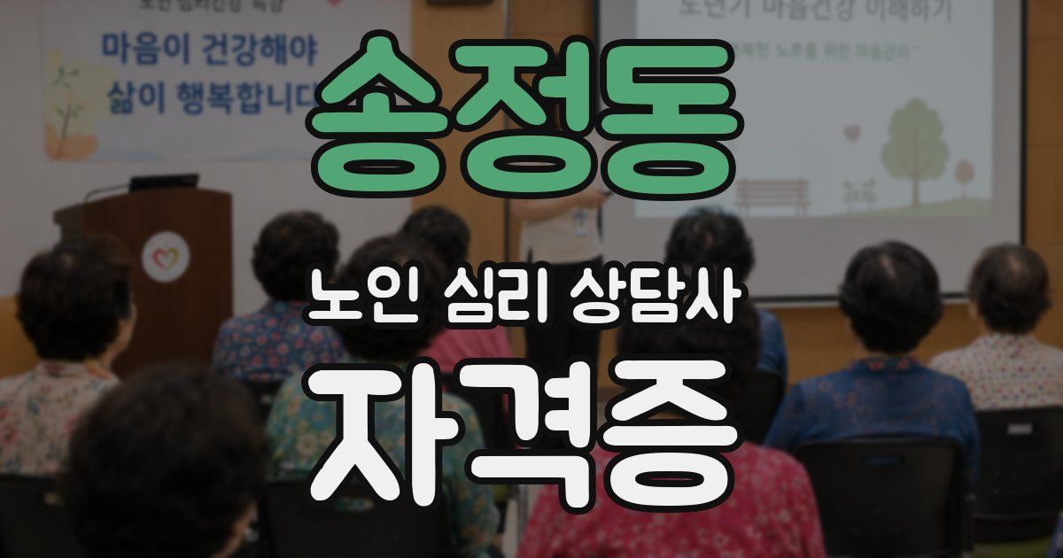 송정동 노인 심리 상담사 자격증