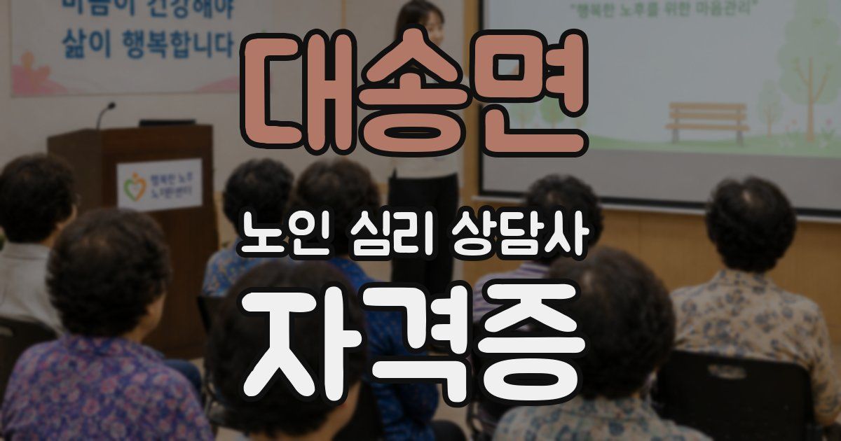 대송면 노인 심리 상담사 자격증