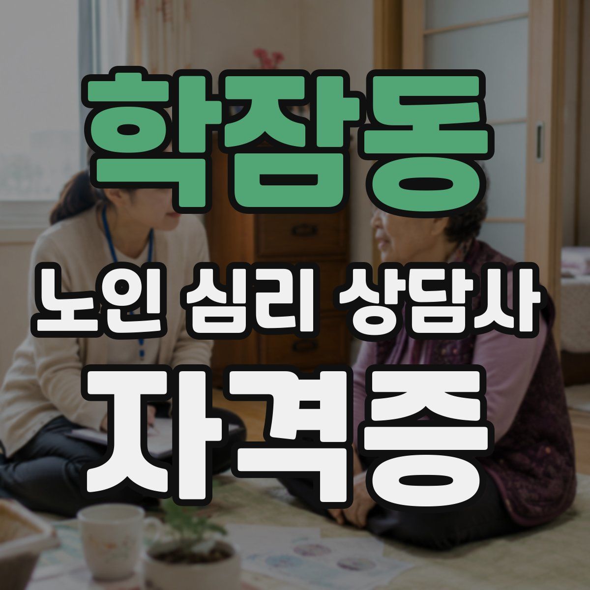 학잠동 노인 심리 상담사 자격증