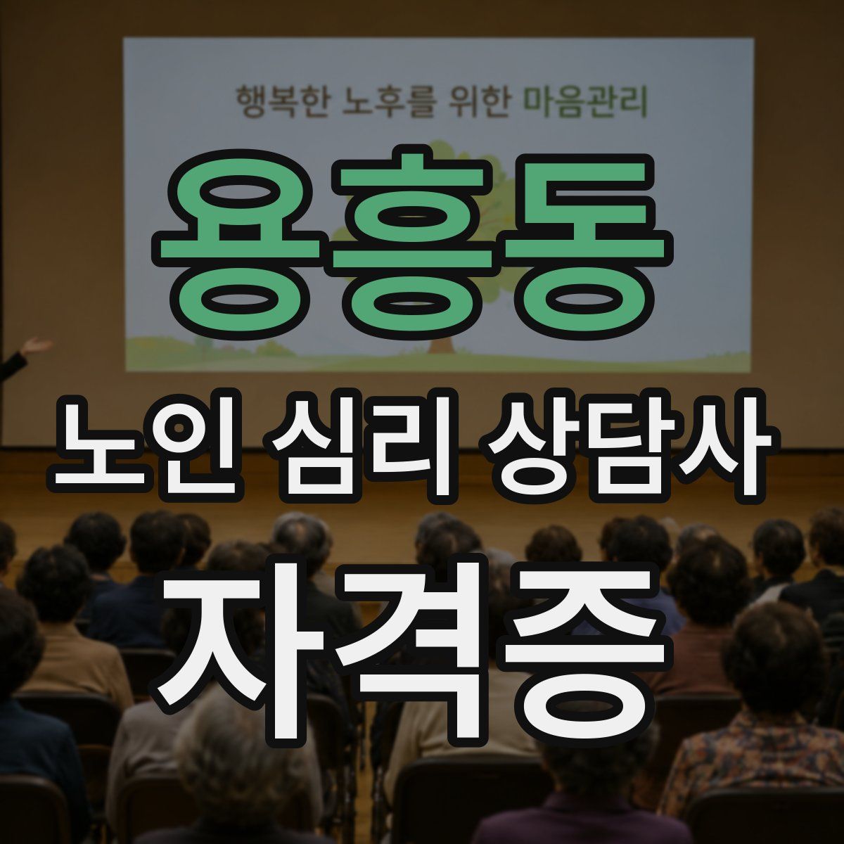 용흥동 노인 심리 상담사 자격증