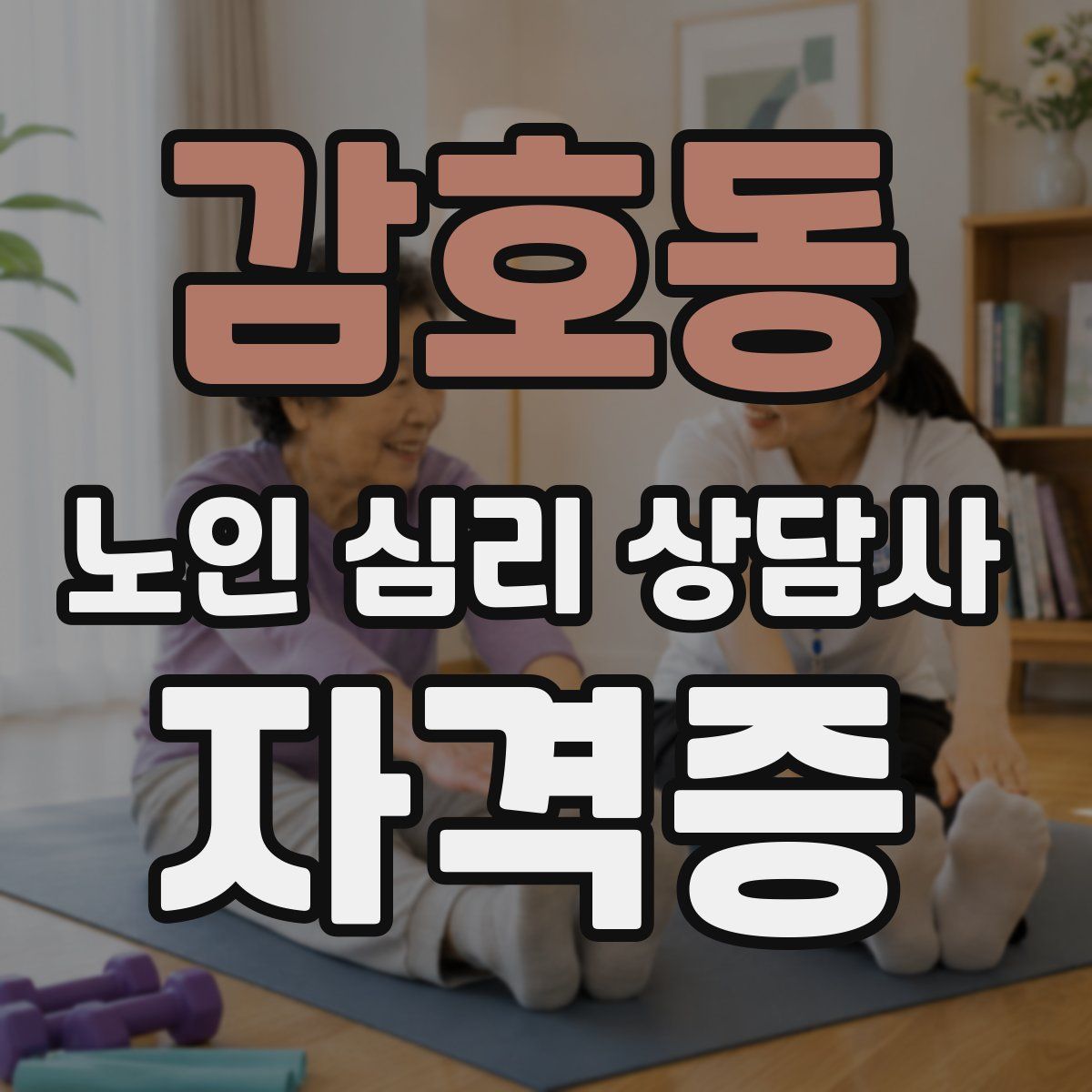 감호동 노인 심리 상담사 자격증