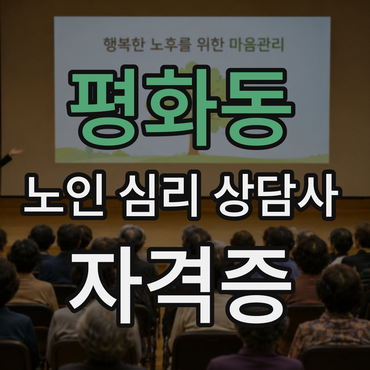 평화동 노인 심리 상담사 자격증