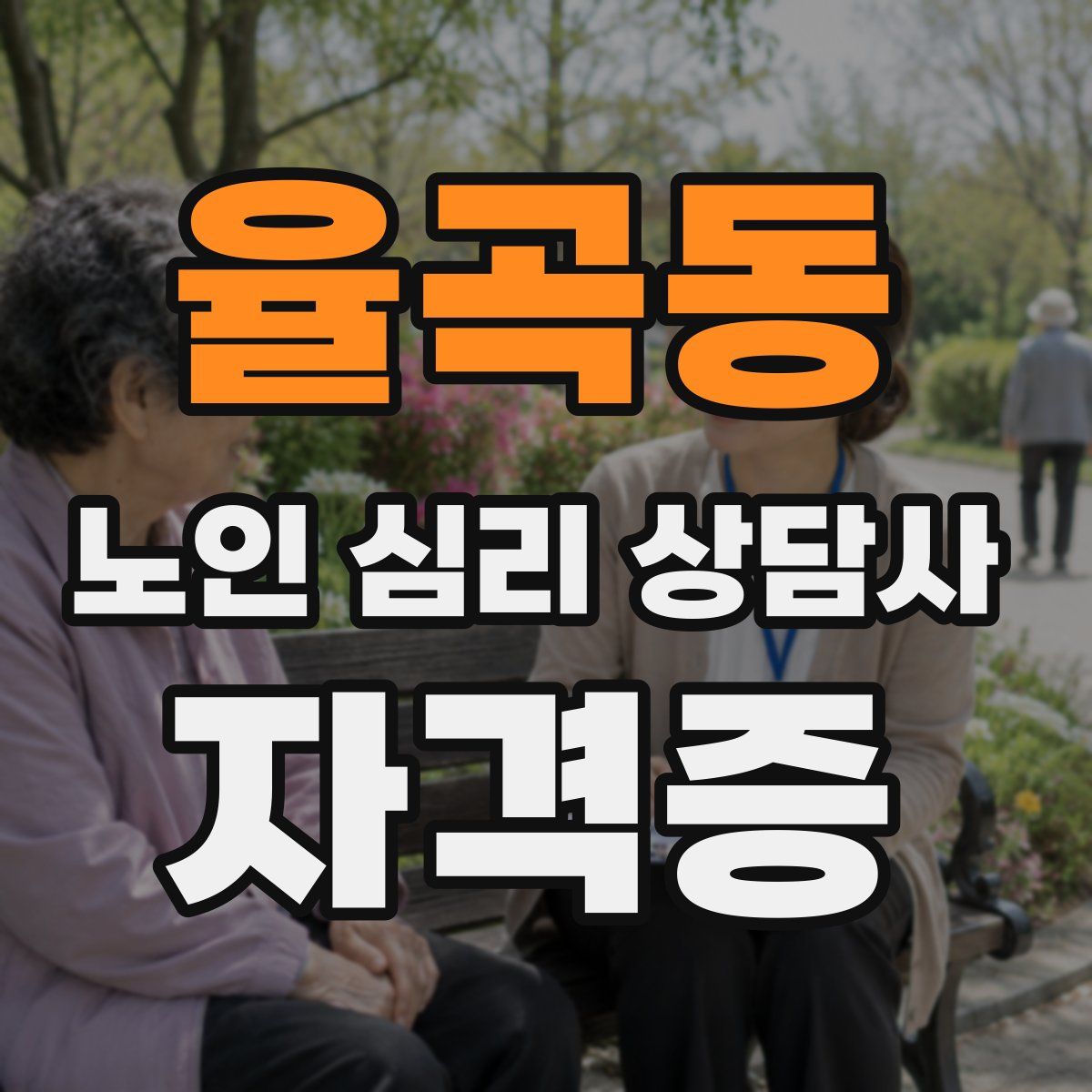 율곡동 노인 심리 상담사 자격증