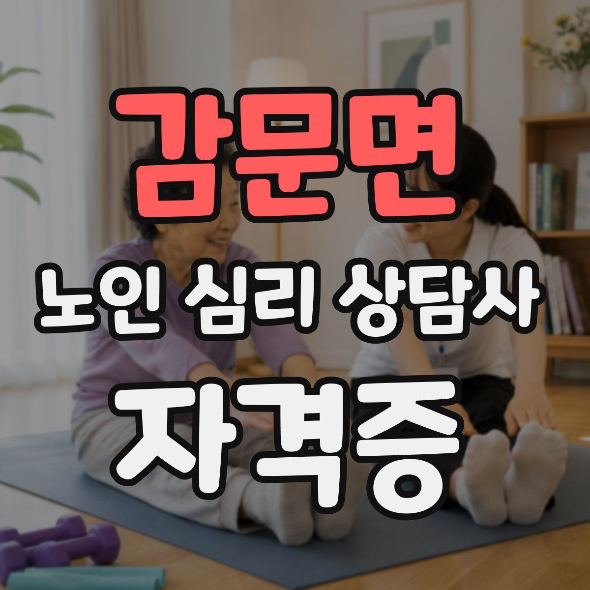 감문면 노인 심리 상담사 자격증