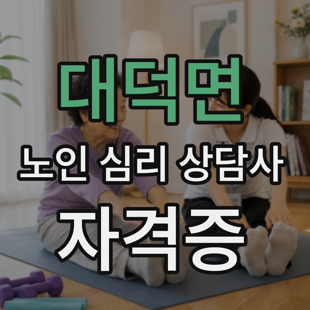 대덕면 노인 심리 상담사 자격증