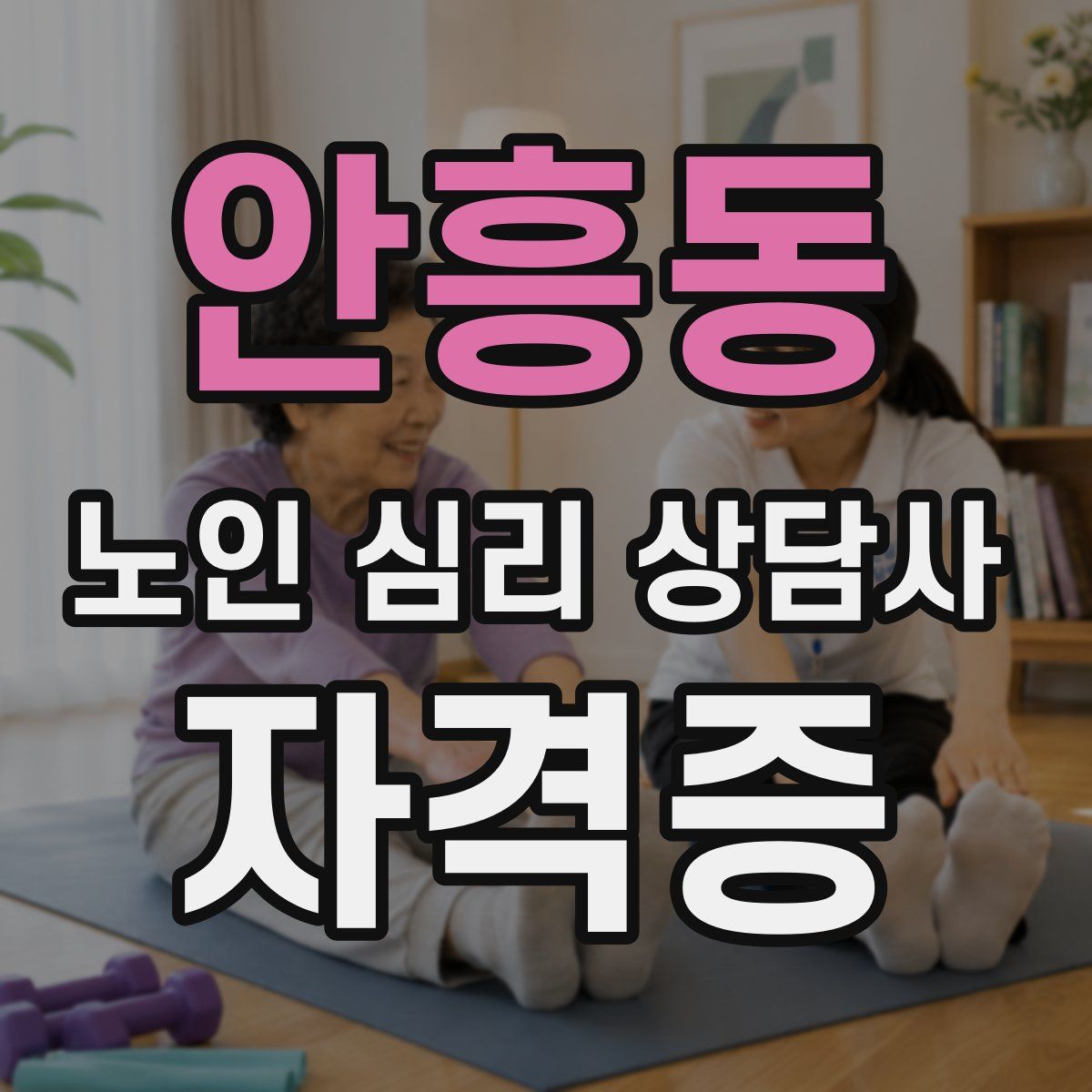 안흥동 노인 심리 상담사 자격증