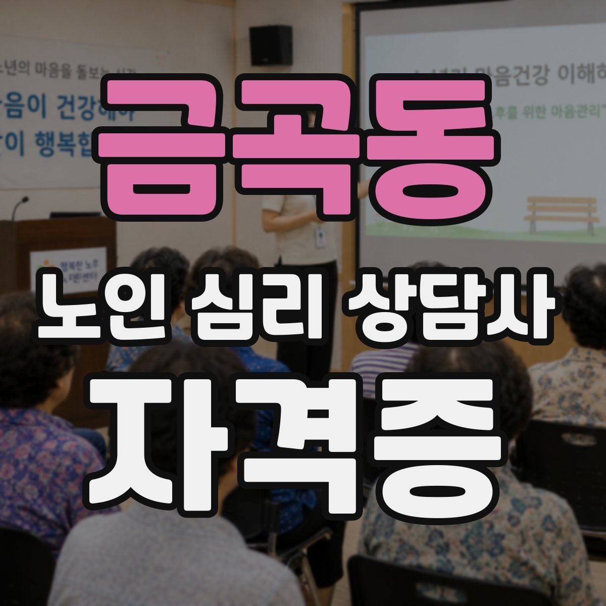 금곡동 노인 심리 상담사 자격증