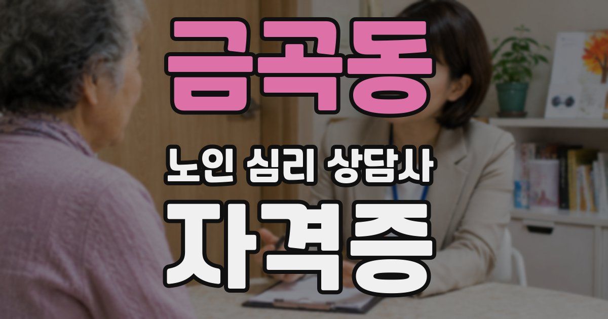금곡동 노인 심리 상담사 자격증