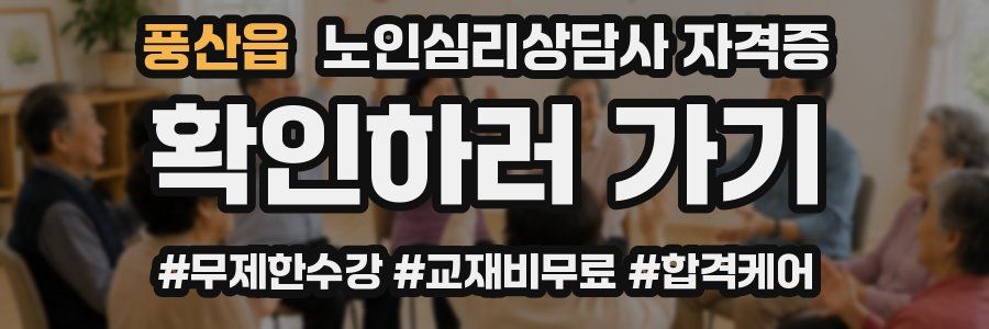 풍산읍 노인 심리 상담사 자격증