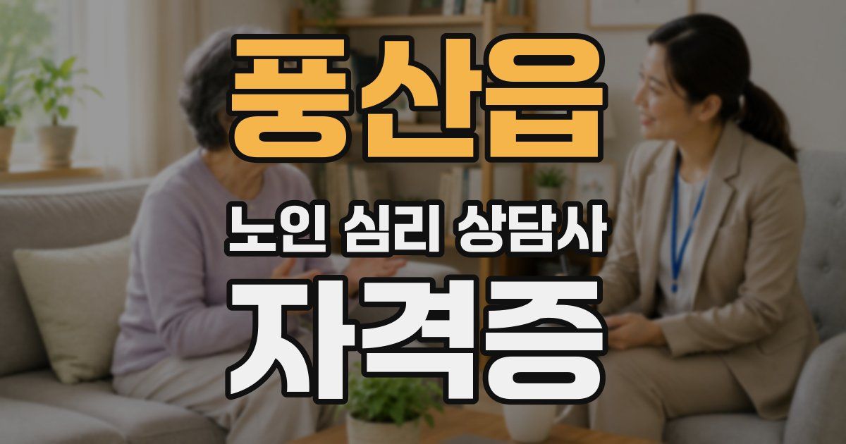 풍산읍 노인 심리 상담사 자격증