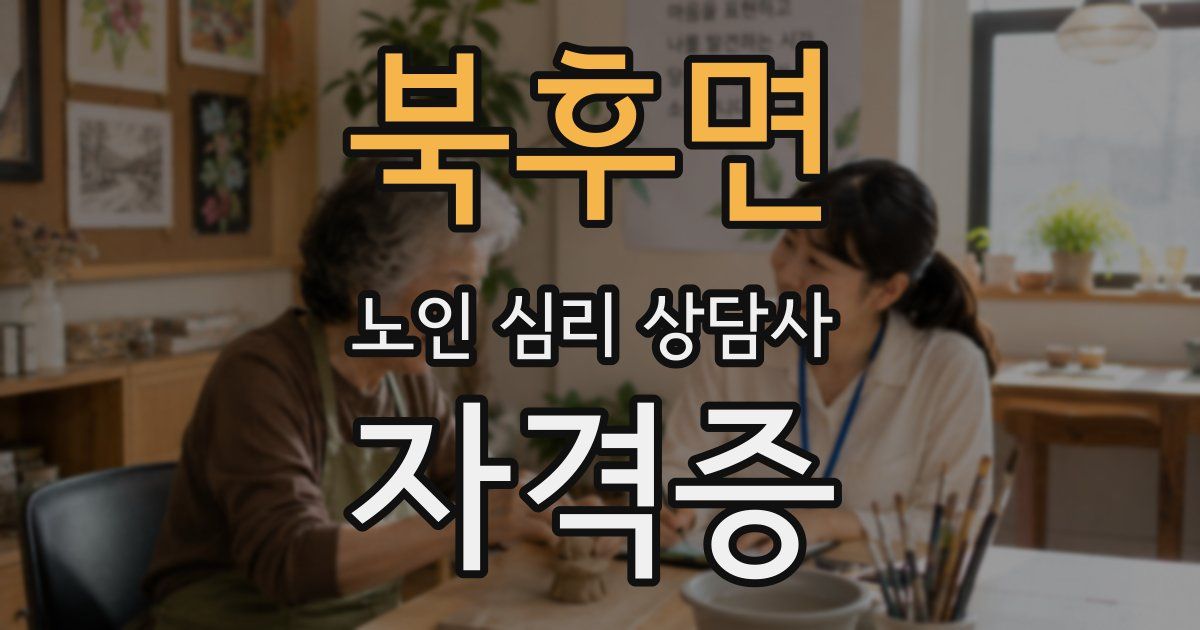 북후면 노인 심리 상담사 자격증