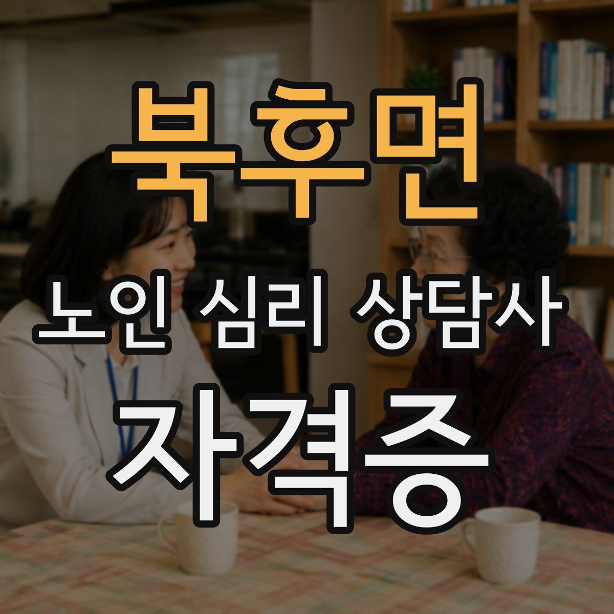 북후면 노인 심리 상담사 자격증
