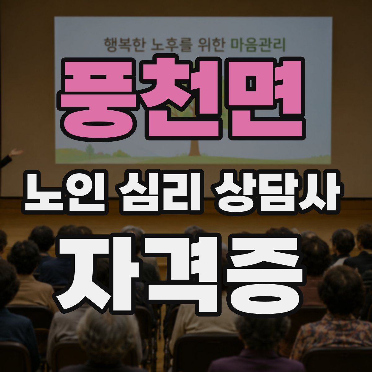 풍천면 노인 심리 상담사 자격증