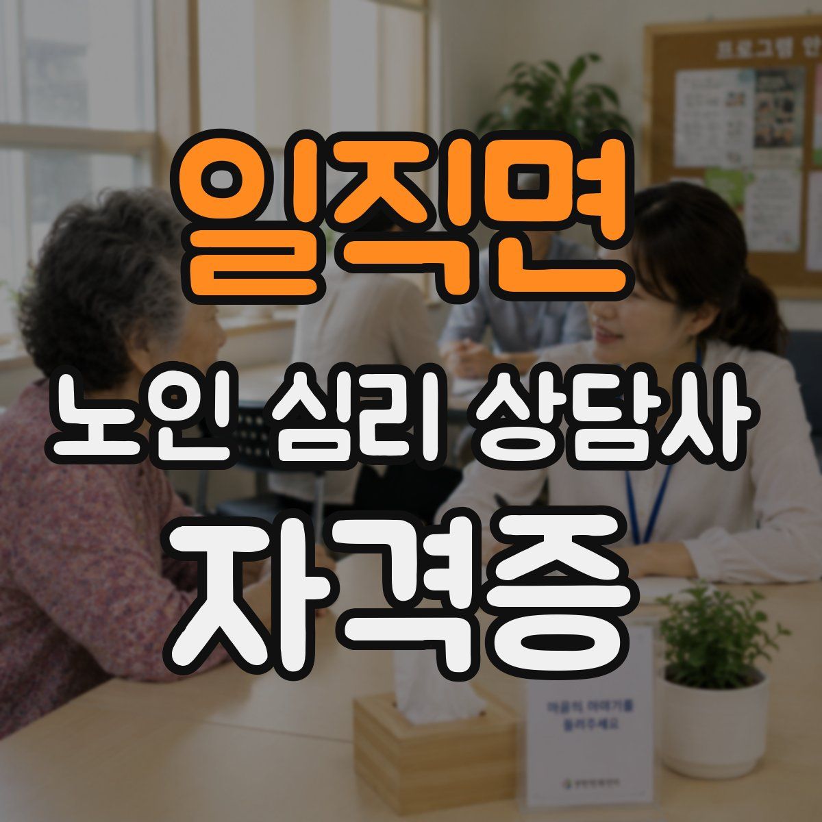 일직면 노인 심리 상담사 자격증
