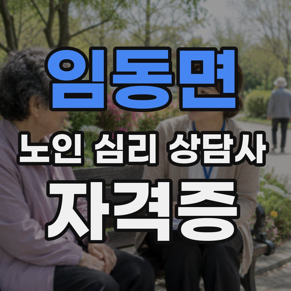 임동면 노인 심리 상담사 자격증