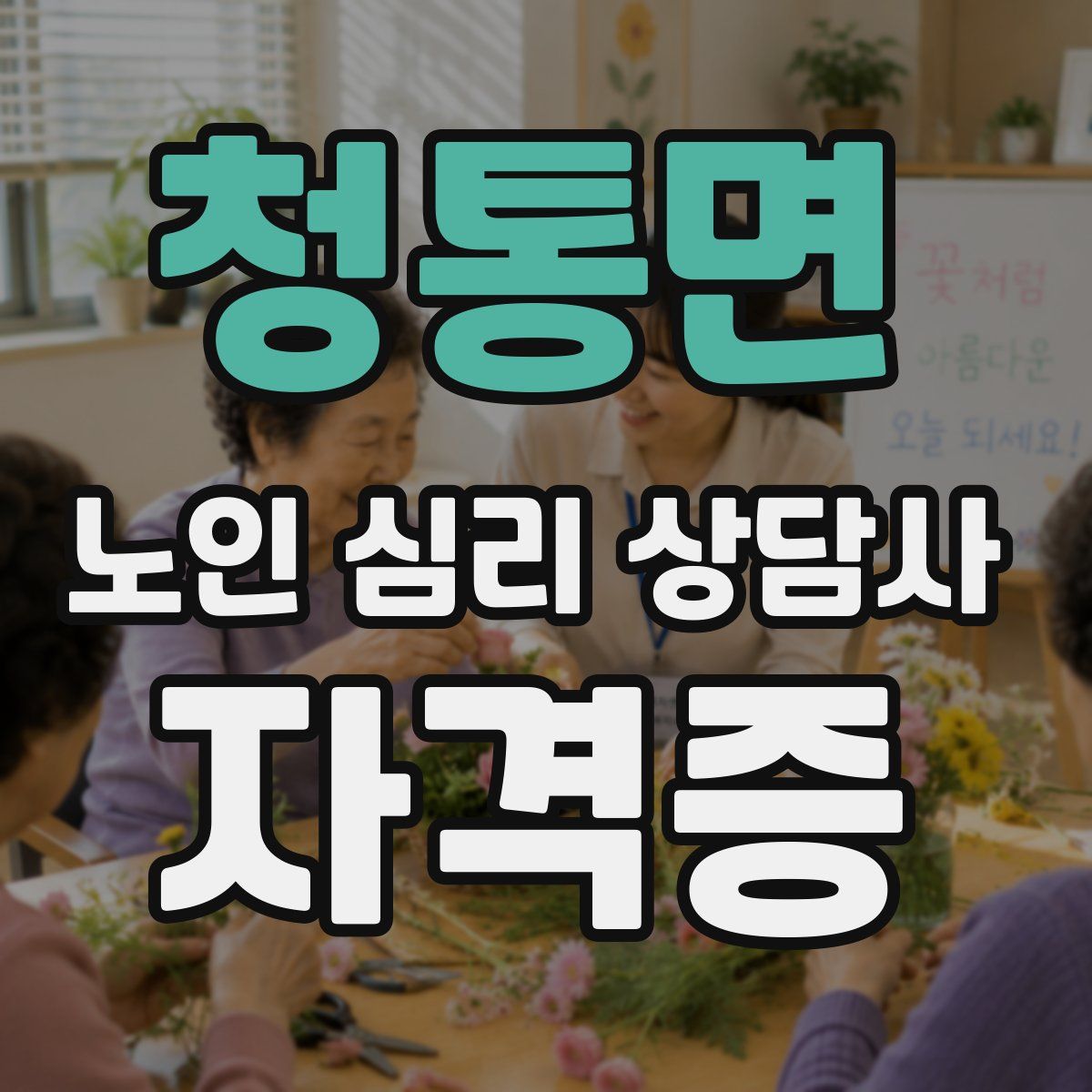 청통면 노인 심리 상담사 자격증