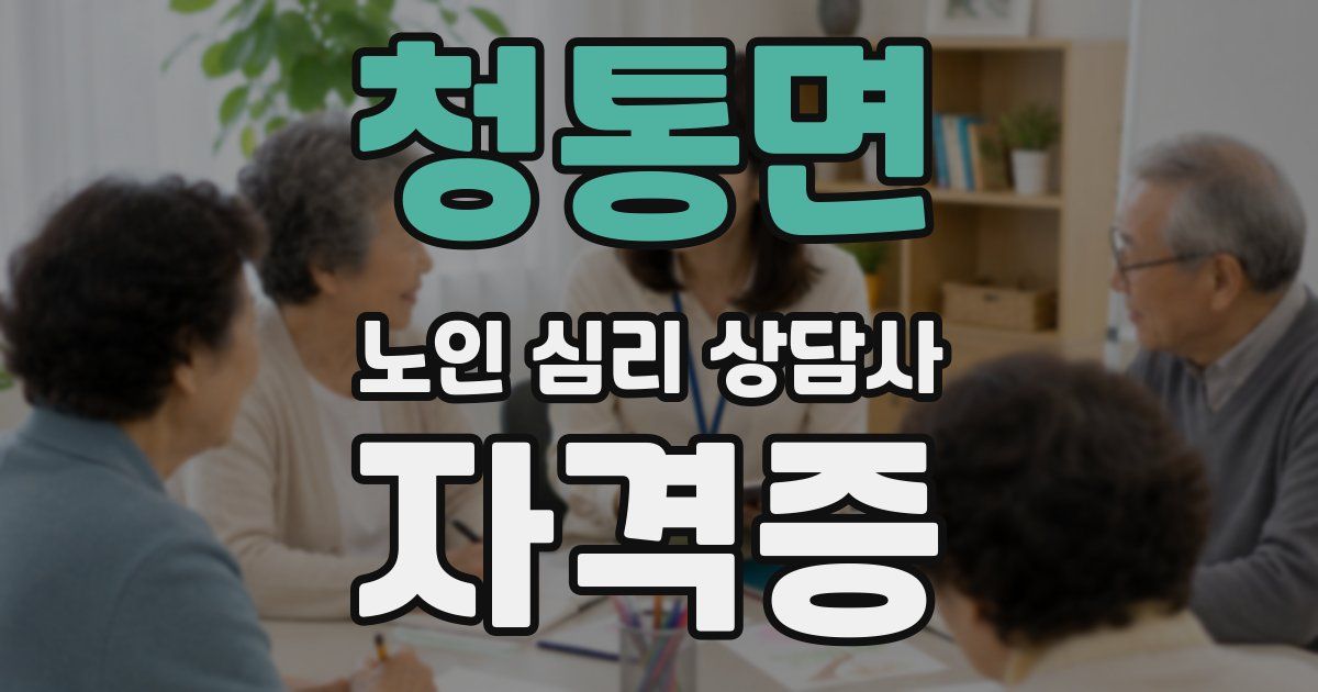 청통면 노인 심리 상담사 자격증