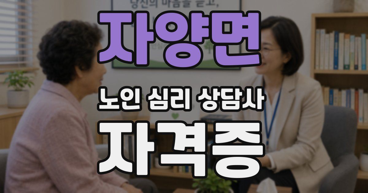 자양면 노인 심리 상담사 자격증