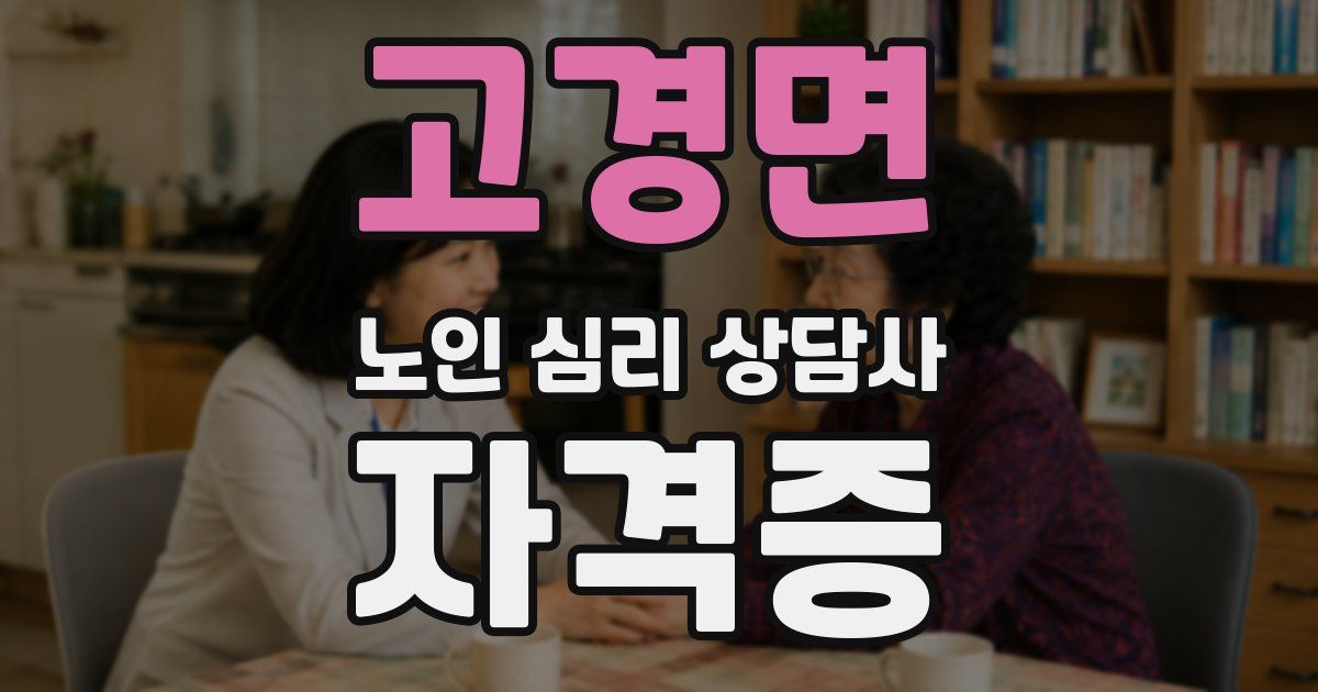 고경면 노인 심리 상담사 자격증