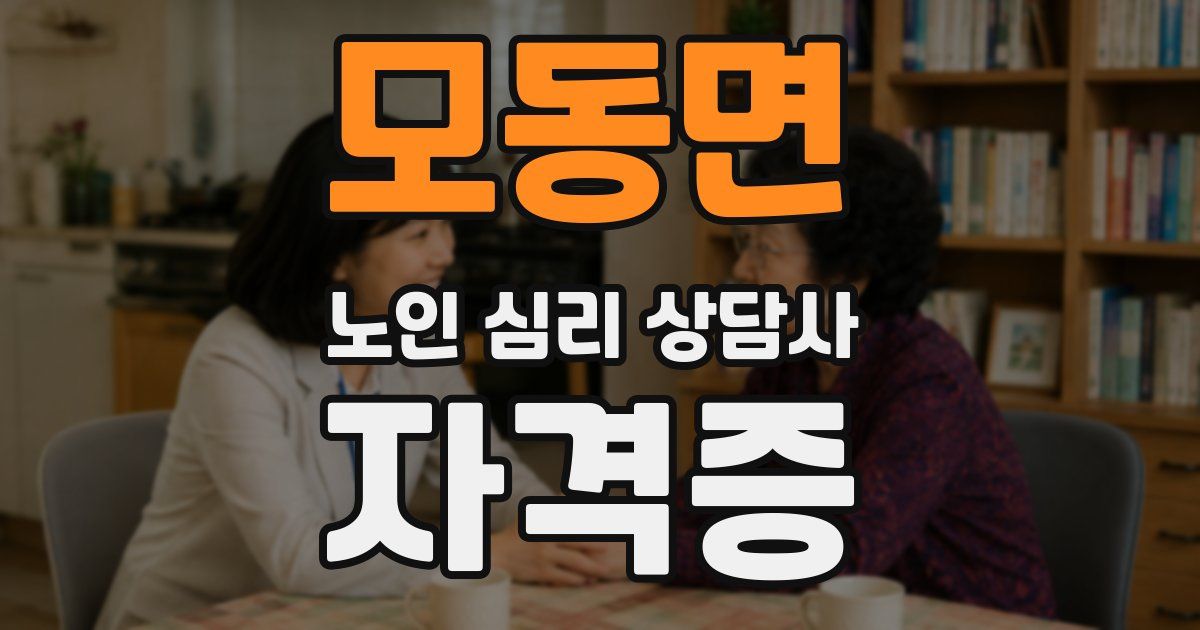 모동면 노인 심리 상담사 자격증