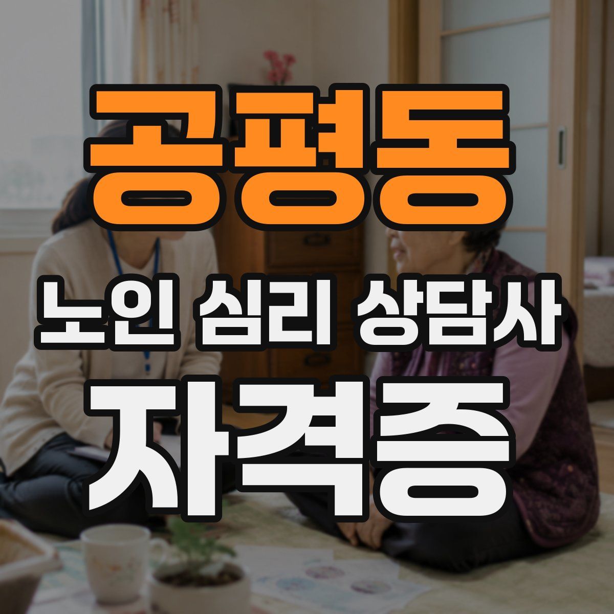 공평동 노인 심리 상담사 자격증