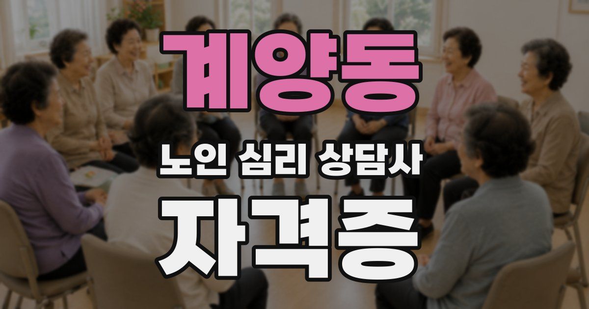 계양동 노인 심리 상담사 자격증