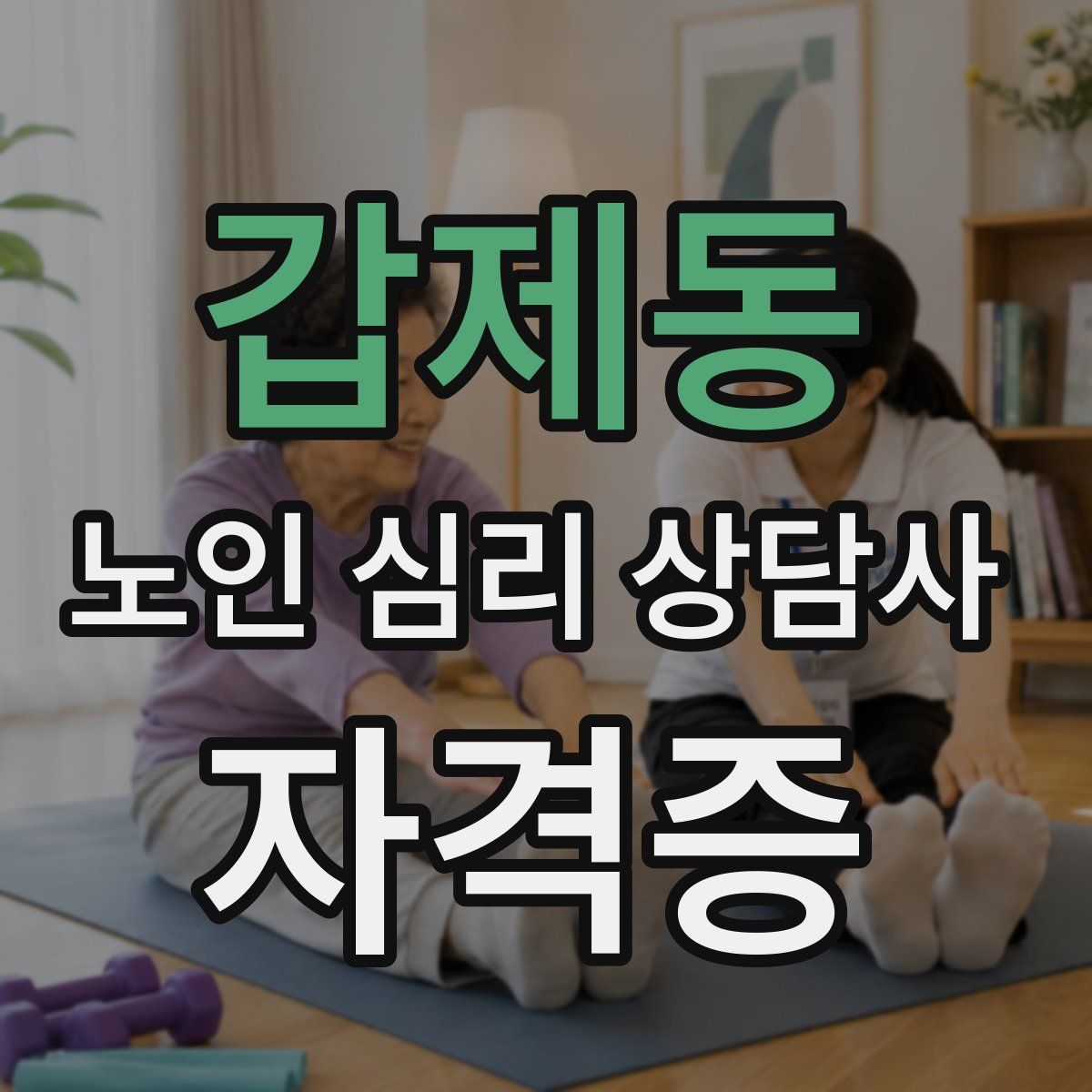갑제동 노인 심리 상담사 자격증