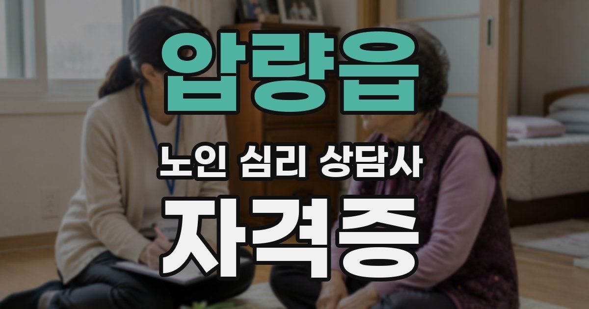 압량읍 노인 심리 상담사 자격증