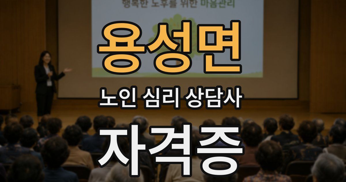 용성면 노인 심리 상담사 자격증
