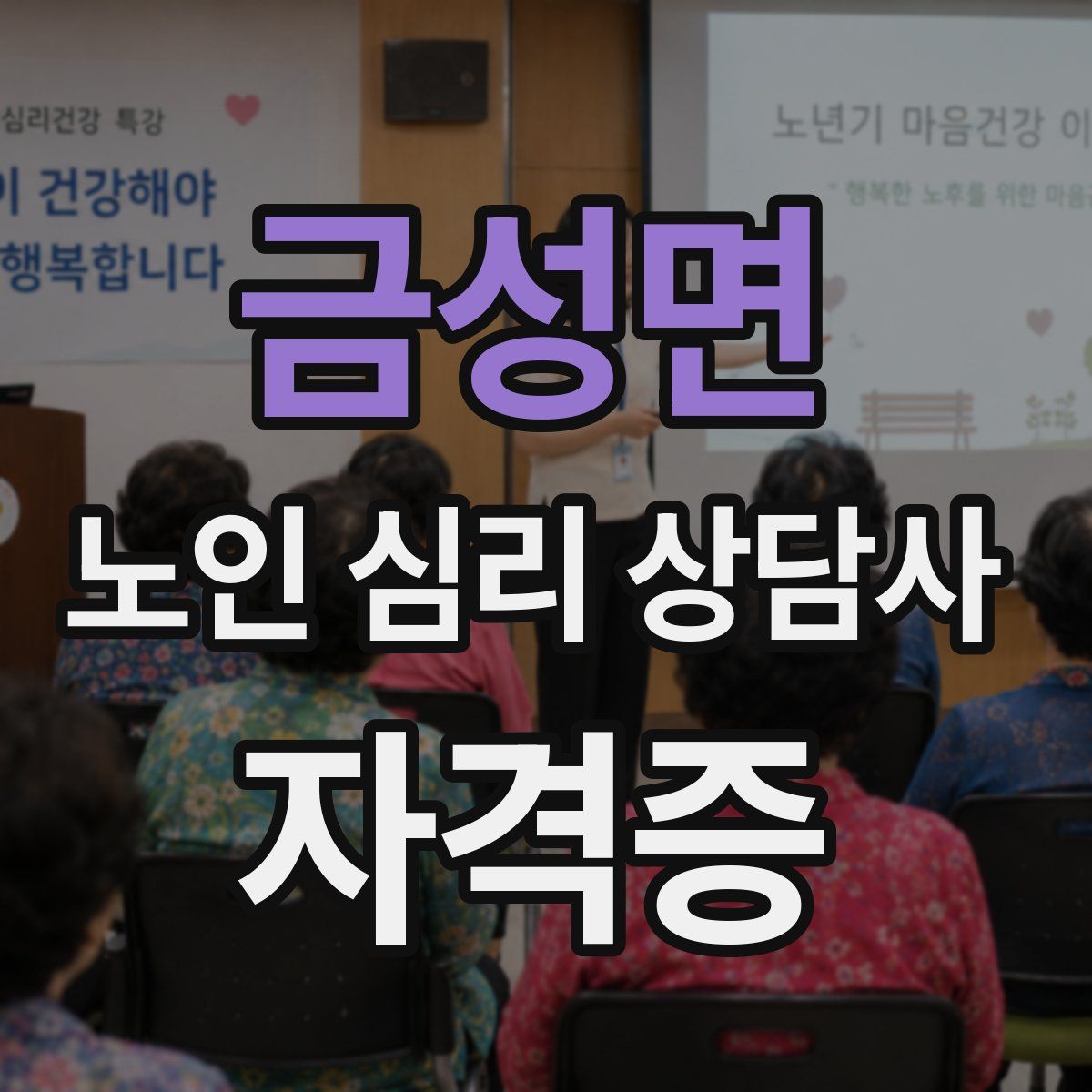 금성면 노인 심리 상담사 자격증