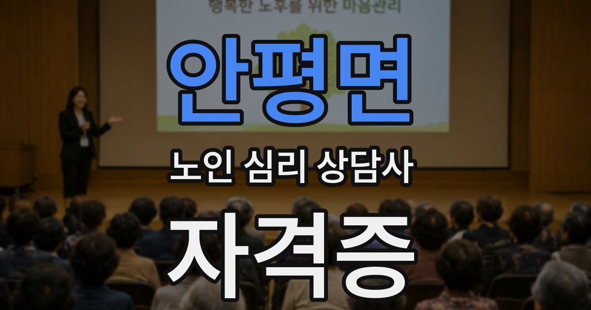 안평면 노인 심리 상담사 자격증