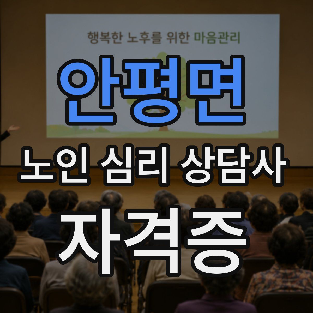 안평면 노인 심리 상담사 자격증