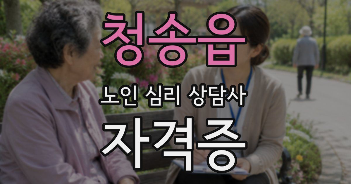 청송읍 노인 심리 상담사 자격증
