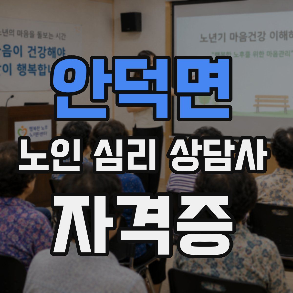 안덕면 노인 심리 상담사 자격증