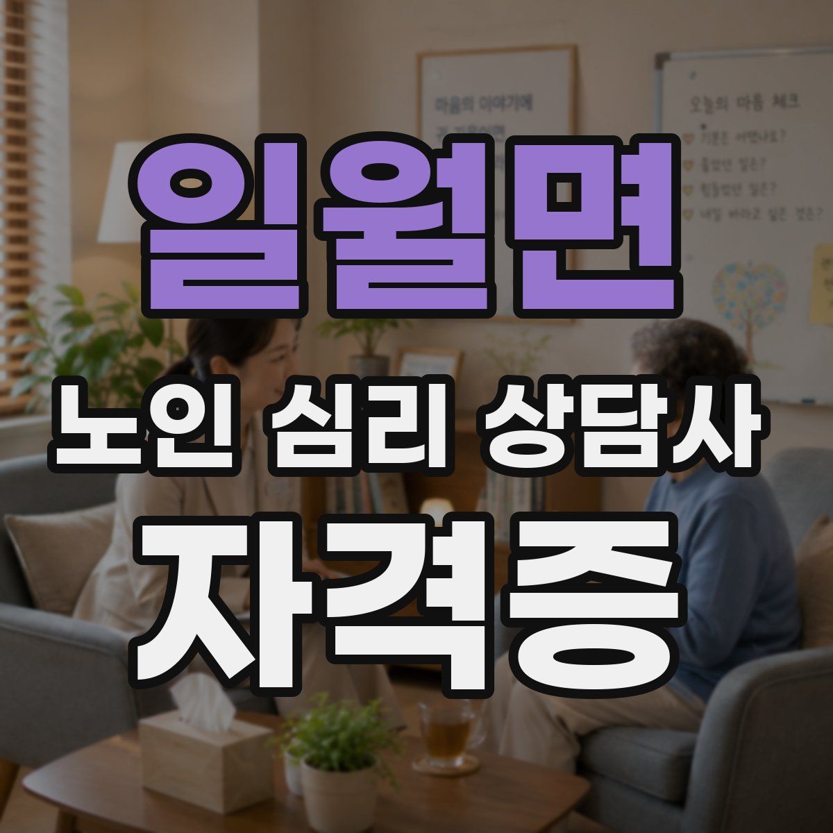 일월면 노인 심리 상담사 자격증